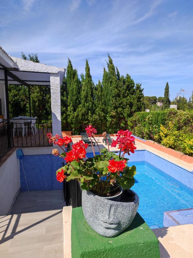 Villa Lille En Provence Valencia Exterior foto